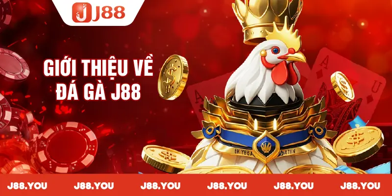 Giới thiệu tổng quan về đá gà J88